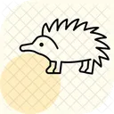 エキドナ アイコン