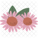 Echinacea Herbal Herb Icon