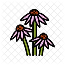 Echinacea ayurvedisch  Symbol