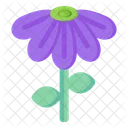 Echinacea Purpurea  Icon