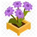 Echinacea Purpurea  Icon