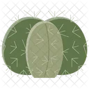 Echinocactus Cactus Suculento Icono