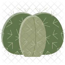 Echinocactus  Icon