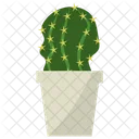 Echinocereus Potted Plant  Icon