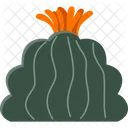 Echinofossulocactus Cactus Succulent Icon