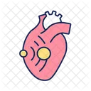 Echocardiographic test  Icon