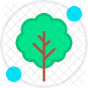 Eco Sustainability Green Icon