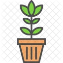 Eco Ecology Green Icon