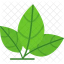 Eco Green Herb Icon