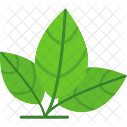 Eco  Icon