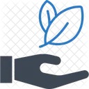 Eco care  Icon