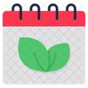 Eco Day Calendar Daybook Icon