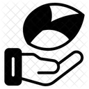  Ícone
