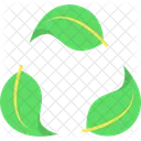 Eco Friendly Environment Eco Icon
