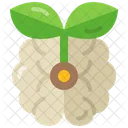 Eco Friendly Green Leaf Icon