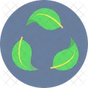 Eco Friendly Save Tree Green Icon