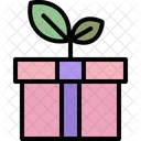 Eco Gift  Icon
