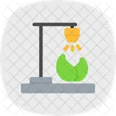Eco  Icon