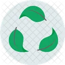 Eco Ecology Nature Icon