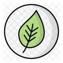 Eco Leaf  Icon