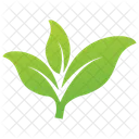 Eco Leaves  Icon