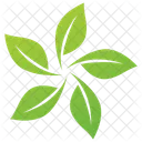Eco Leaves Vector Leaves Logo Eco Leaves Icon