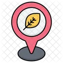 Eco Location  Icon