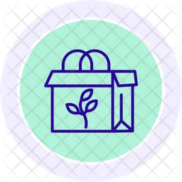 Eco packaging  Icon