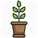 Eco Plant  Icon