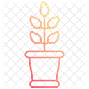Eco Plant  Icon