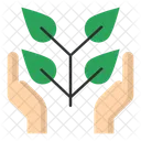 Eco Protection Icon