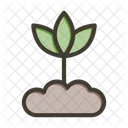 Nature Plant Leaf Icon