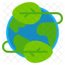 Ecologi  Icon