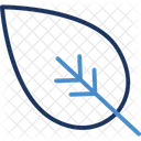 Ecological Ecology Environment Icon