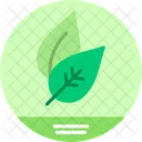 Ecological Ecology Environment Icon