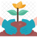 Ecological Literacy Environment Icon