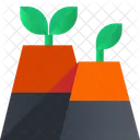 Ecological Plant  Icon