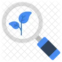 Ecological Research Search Leaf Search Leaflet Icon