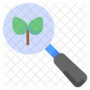 Research Ecology Magnifying Icon