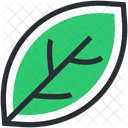 Ecologie Vert Feuillage Icon