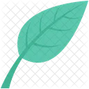 Ecology Foliage Leaf Icon