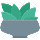 Ecology Foliage Spinach Icon