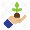 Nature Environment Plant Icon