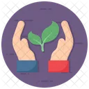 Sapling Plant Conservation Plant Protection Icon