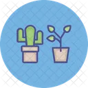 Ecology Gardening House Plants Icon
