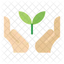 Ecology Plant Hand Icon