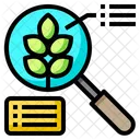 Analysis Zoom Data Icon