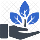 Ecology care  Icon