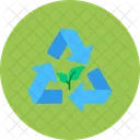 Ecology Renewable Sustainable Icon