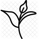 Ecology Tea Leaves Icon